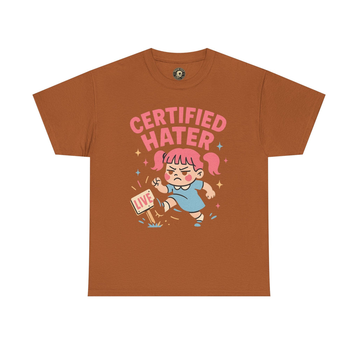 Certified Hater Unisex Heavy Cotton Tee, Funny Graphic T-Shirt, Casual Wear, Gift for Friends, Birthday Gift, Unique Humor Tee