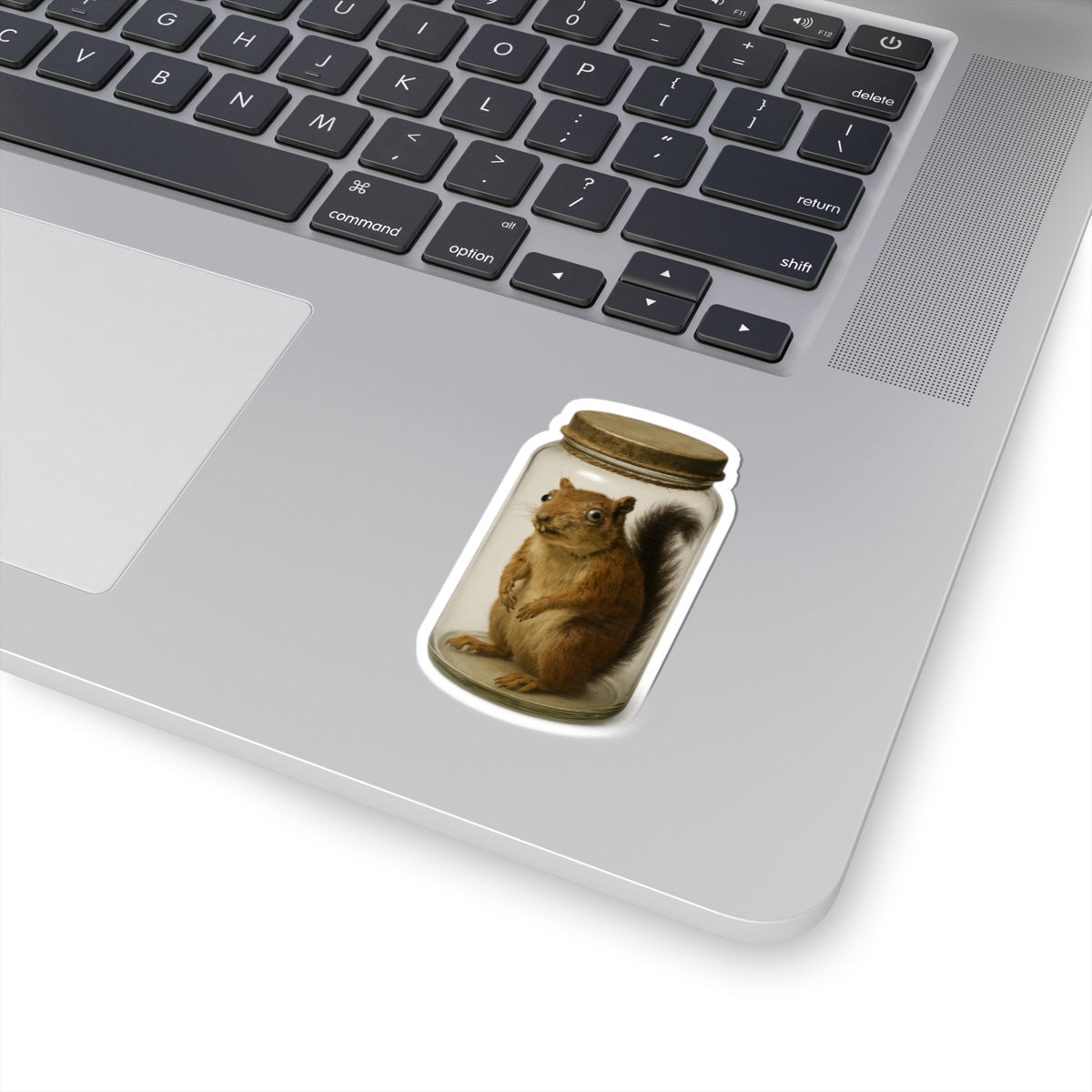 Whimsical Squirrel Stickers, Cute Animal Art, Funny Gift, Laptop Decor, Fun Scrapbooking Supplies, Unique Party Favors