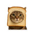 In Bread Cat Kiss Cut Sticker – Funny Realistic Cat Meme – Bread Face Kitty Decal
