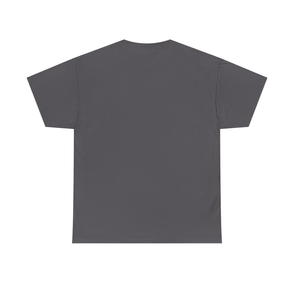 Pride “E for Everyone” T-Shirt – LGBTQ+ Inclusivity Graphic | Gildan 5000